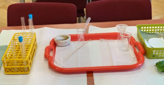Warsztaty laboratoryjne „Czy wiesz co jesz?”