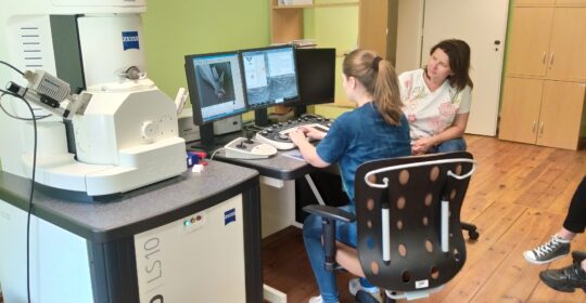 Studenci kierunku Genetyka i Biologia Eksperymentalna – warsztaty skaningowej mikroskopii elektronowej