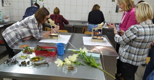 Mikroświat w szkolnych „Laboratoriach przyszłości”